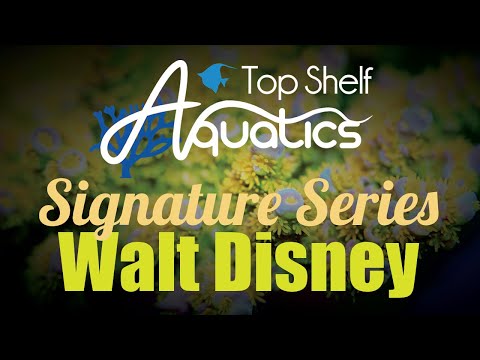 Signature Series - Top Shelf Aquatics Walt Disney