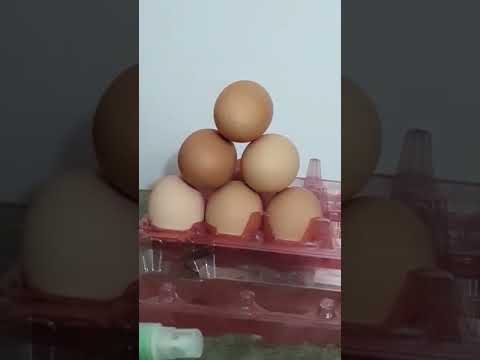 Mini Egg Tower (meme)