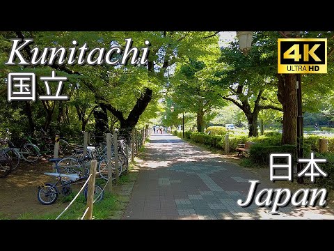 【Walk/散歩】Kunitachi, Tokyo/国立、東京