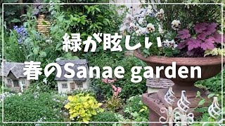 モルタルデコ講師　原嶋早苗先生宅のお庭　春のsanaegardenも素敵💓