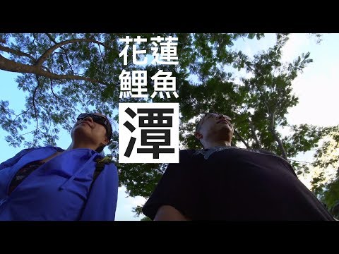 鯉魚潭 | VLOG | 紅面鴨 | 水舞秀