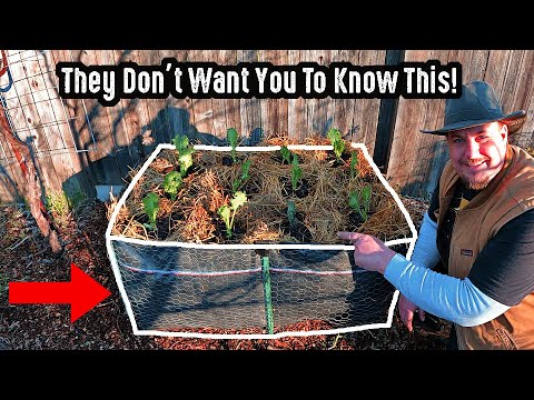 Pre-Built Raised Garden Bed Manufacturers Don't Want You To Know About This Gardening Hack!