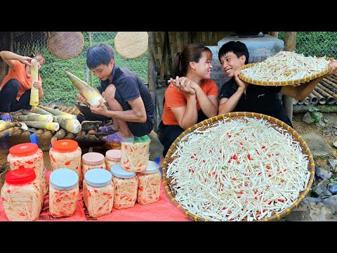 Harvesting bamboo shoots, Making chili bamboo shoots and preserving them, Selling them to the market