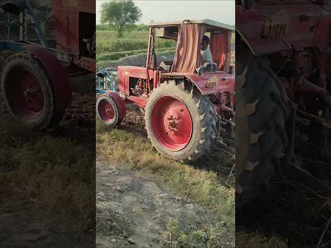 #Tractor #green #viralvideo #tranding #belarus #russia #powerful #King