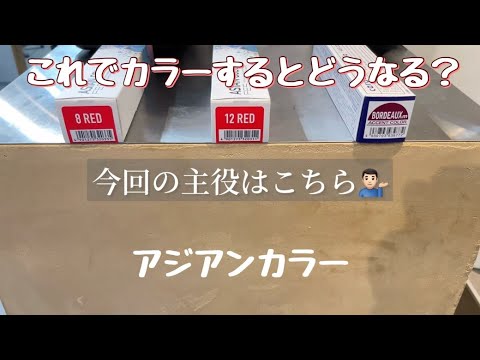 【ヘアカラー】カシスカラーのやり方。レシピ有り。