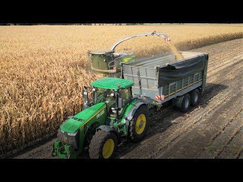 Maishäckseln 2022/ Claas Jaguar 980/ JohnDeere 8335R / Lohnunternehmen LTD Hölscher