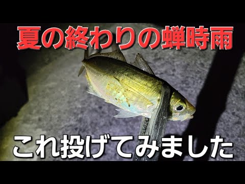 夏の終わりデカアジ探してアジング