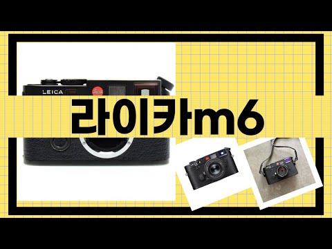 라이카 M6 최고의 리뷰와 필름 카메라 사용법 안내