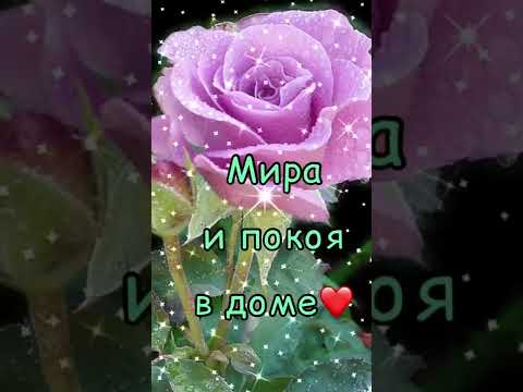 Татьянин День 💐 25 января 🎉 Музыкальное Пожелание!