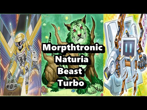 Morphtronic Naturia Beast Turbo