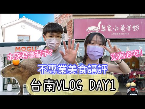 【My峯】台南三天兩夜VLOG！不專業美食講評！網美店裡的水豚君竟然會握手？｜#day1 ｜#情侶日常