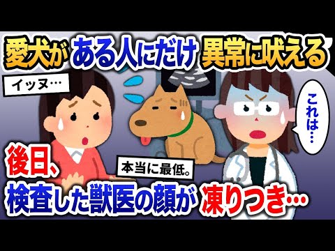 普段優しい愛犬がなぜか異常に外に吠えるように→後日、獣医に検査してもらうと、様子を見た瞬間に顔面が凍りつき…【2ch修羅場・ゆっくり解説】 1