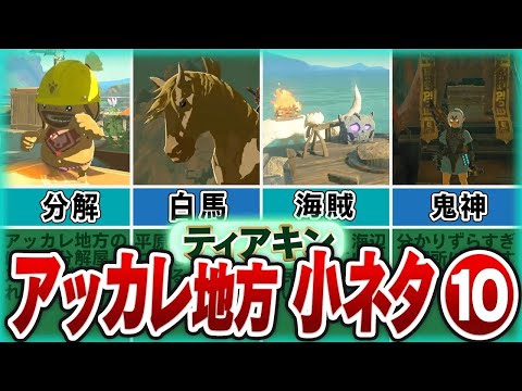 【ティアキン】レア装備や便利すぎる場所！アッカレ地方の小ネタ10選【ゼルダの伝説】