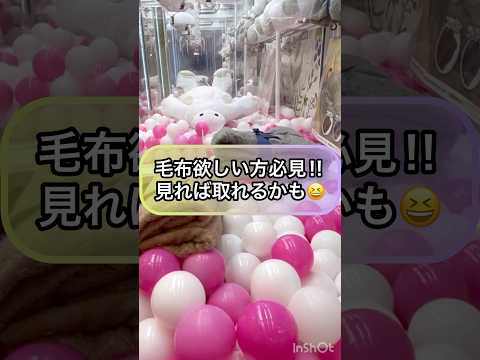 【クレーンゲーム攻略】毛布欲しい方必見‼︎見れば取れるかも‼︎