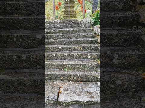 天空の長寿神 北斗神社の階段がキツい。