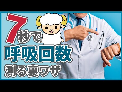 【裏ワザ】忙しい時に7秒で呼吸回数を測る方法