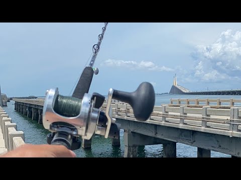 Skyway State Fishing Pier - LIVE Fishing Report