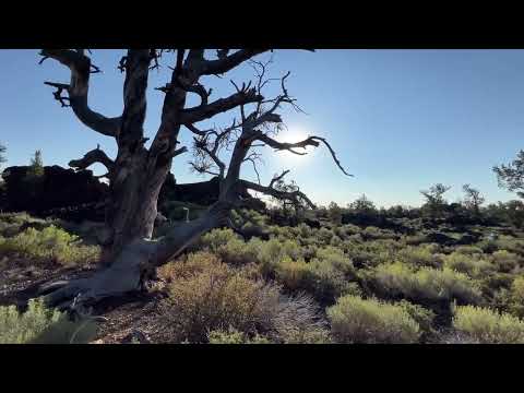 Devil’s Orchard, Randy “Windtalker” Motz, Native American Style Flute, #flute