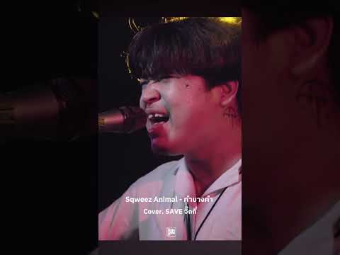 Squeeze Animal - คำบางคำ // Cover. SAVE จิ๊กกี๋ #liveinhighhow #highhow #บ้านงาน #shorts