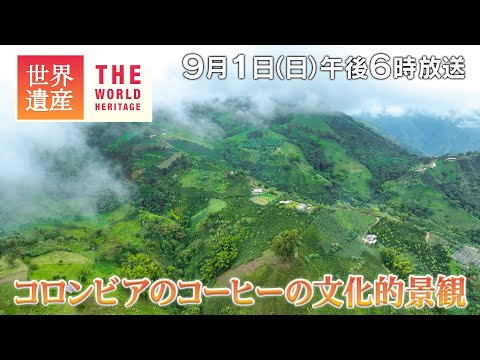 【TBS世界遺産】傾斜40度！アンデス山脈のコーヒー畑～コロンビアのコーヒーの文化的景観【9月1日午後6時放送】