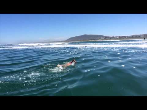 Carina Bruwer swims Robben Island to Bloubergstrand