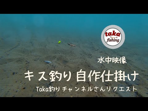 【sillaginoid fishing】Underwater video-Try to make your own gimmick-  Taka Tsuri Channel