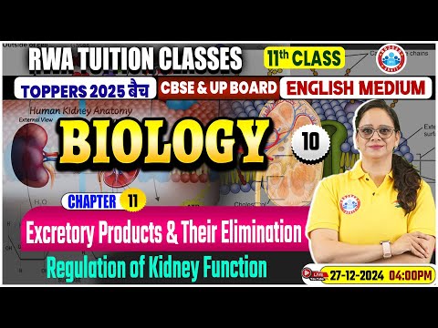 Class 11 Biology Chapter 11 Excretory Products & Their Elimination | 11th Biology Imp Topics By RWA