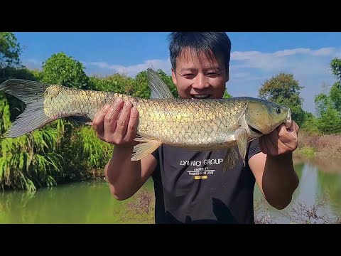 It's too convenient to catch fish in this net. A big grass carp and a carp make my daughter-in-law