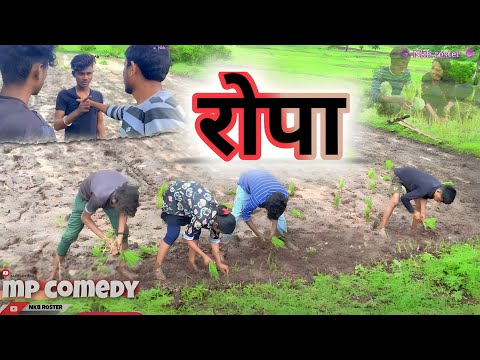 🌾पारहा🌱ROPA🌿 || MP CG COMEDY VIDEO BY ~ @NKBROSTER