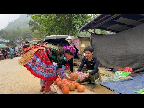 Harvest big oranges, red potatoes Go Countryside Market Sell. 2 year living off grid in forest