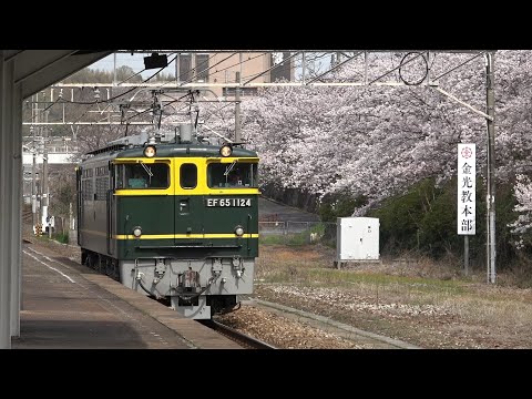 [トワイライト色] EF65 1124単機 金光駅通過