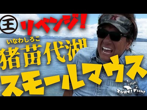 日本記録出まくり猪苗代湖のスモールマウスバス！＠村田基　#釣り #バス釣り #fishing