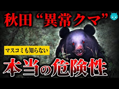 【実在】秋田の“異常人食いクマ”本当の危険性｜ワンランク上の警戒とは