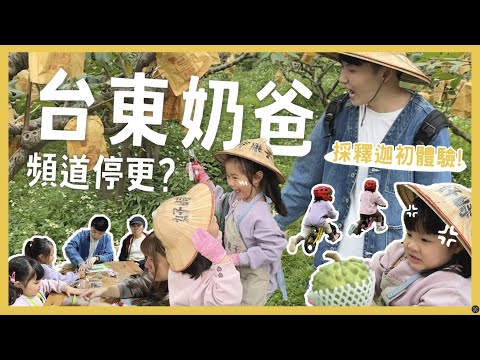 頻道停更公告！台東奶爸兩天一夜篇！親子可以這樣玩！生母笑到崩潰？雙娃採釋迦初體驗！台東回訪美食有哪些？｜內內