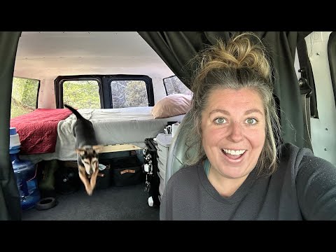 Van Bed Build, Carpet Installation and a mini tour! Van Life in a Ford e350