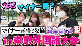 東京外国語大学でマイナー言語に入ったやつ後悔してる説を検証！【wakatte TV】#739