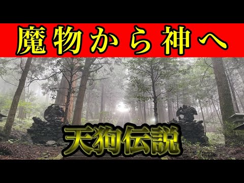 ⚠️絶対に訪れるべきパワースポット⚠️結界門の先は天空へ続く最強パワースポット［大雄山最乗寺］