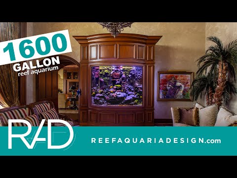 1600 GALLON REEF AQUARIUM RUNNING FOR 14 YEARS IN OCEAN REEF CLUB, KEY LARGO, FLORIDA