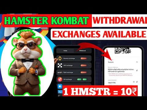 Hamster Kombat Withdrawal Kyc needed | Hamster kombat binance exchange kyc needed on chain offchain