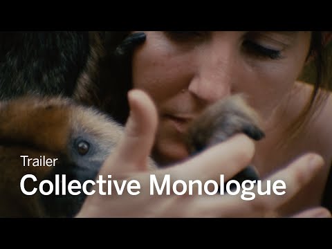 COLLECTIVE MONOLOGUE Clip | TIFF 2024