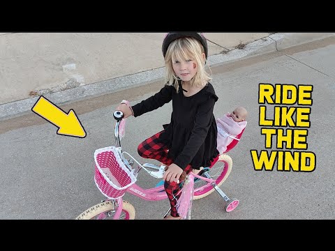 Review of Cute Pink Girls Bike with Training Wheels And Baby Carrier