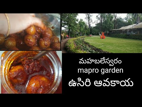 vlog mahabaleswaram mapro garden  usiri avakaya/ఉసిరి ఆవకాయ /Telugudanam by divyavarma