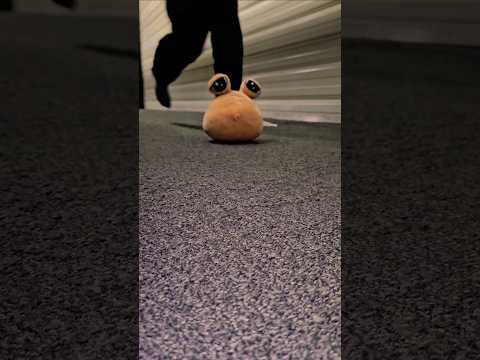 POU Got Weee 🫠 #shorts #viral #viralvideo #plushies #plushtoys #pou #fypシ゚ #funny #pouplushie