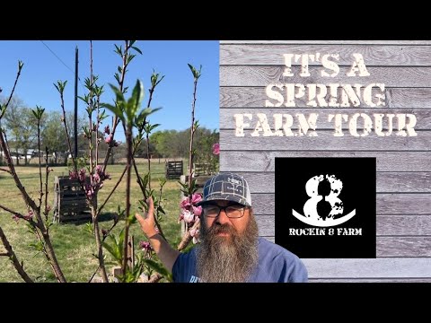 Spring Has Sprung | Central Texas Homestead