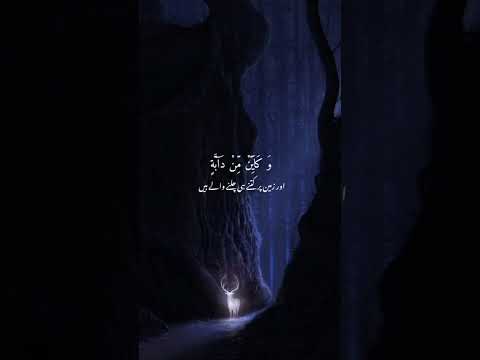 Beautiful Quranic Ayat status || Whatsapp status #shortvideo #shorts