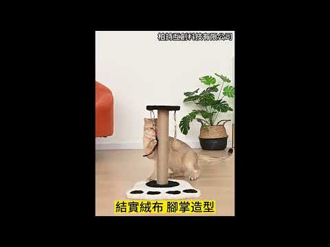 劍麻貓抓柱