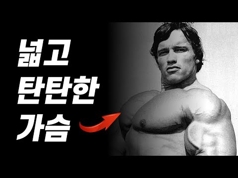 🔥가슴 운동 루틴🔥 헬스장에서 꼭 해야할 4가지 운동