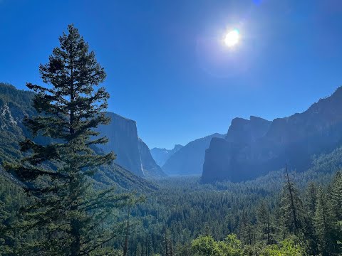 Yosemite national park & Sequoia national park 요세미티국립공원&세콰이어국립공원