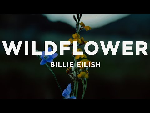 Billie Eilish - WILDFLOWER (Lyrics)