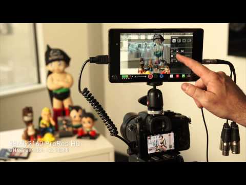 Atomos Shogun Introduction